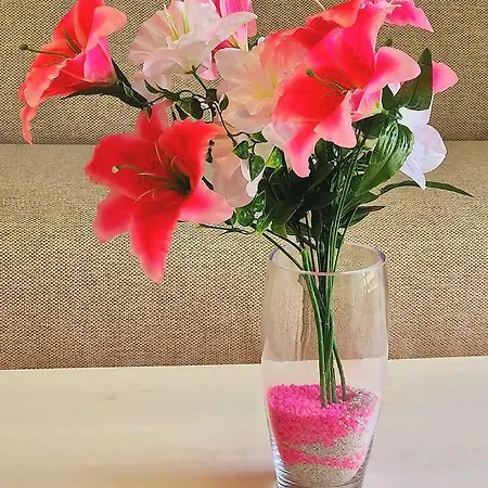 Chabos Plaza Espana Centro