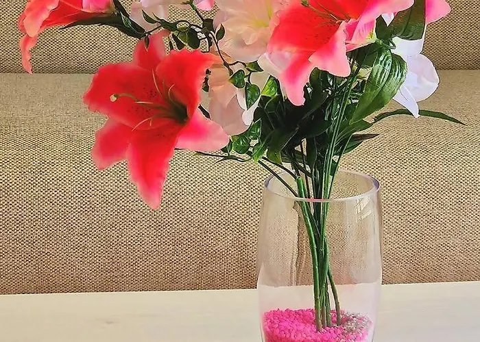 Chabos Plaza Espana Centro